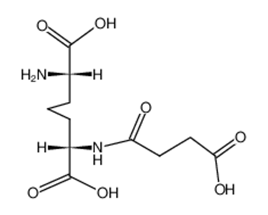 Picture of N-succinyl-L,L-diaminopimelic acid