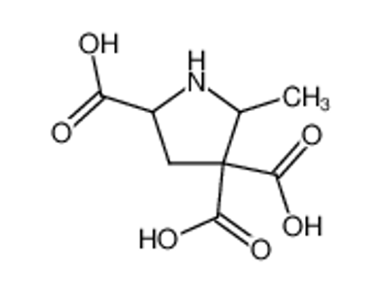 Picture of 4,4-dicarboxy-5-methylproline