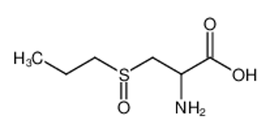 Imagem de (+/-)-n-Propyl-L-cysteinsulfoxid