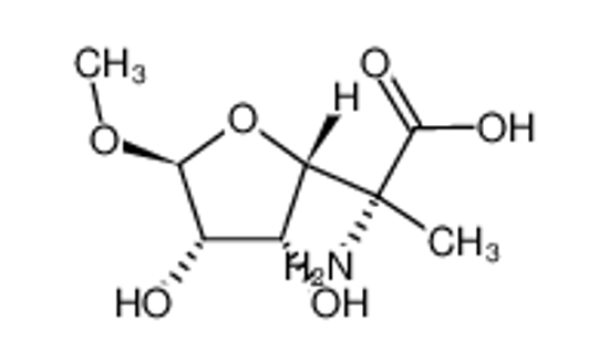 Picture of methyl (5R)-5-amino-5-C-carboxy-5,6-dideoxy-α-D-lyxo-hexofuranoside