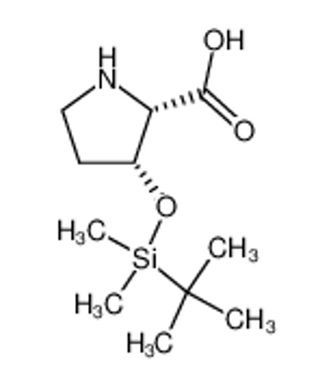 Picture of (2S,3R)-3-((tert-butyldimethylsilyl)oxy)pyrrolidine-2-carboxylic acid