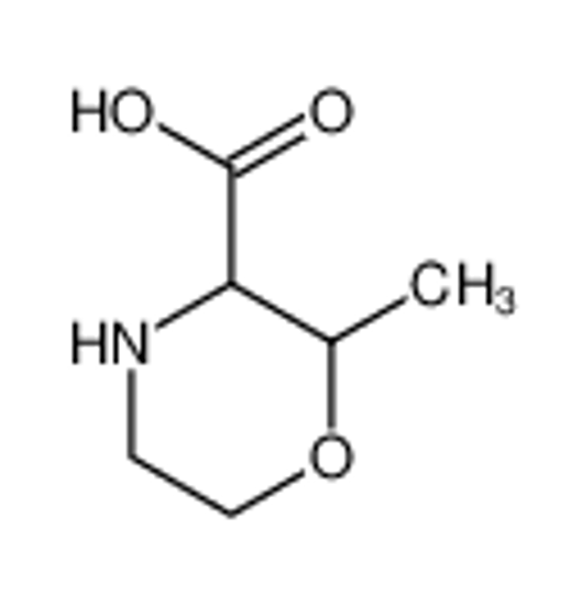 Picture of 2-methylmorpholine-3-carboxylic acid