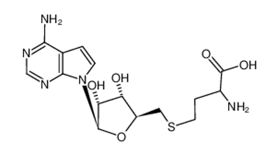 Picture of S-Tubercidinyl-DL-homocysteine