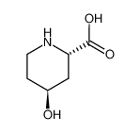 Изображение (-)-trans-4-hydroxypipecolic acid