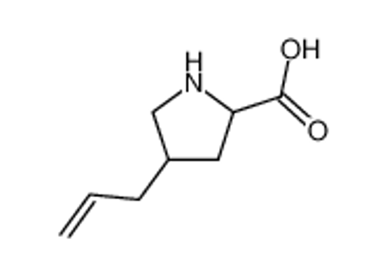 Изображение 4-allyl-pyrrolidine-2-carboxylic acid