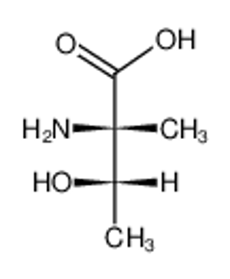 Imagem de (2S,3S)-α-methylthreonine