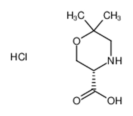 Picture of (S)-6,6-dimethylmorpholine-3-carboxylic acid hydrochloride