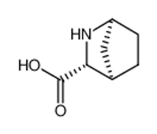Picture of (1S,3R,4R)-2-aza-bicyclo-[2.2.1]-heptane-3-carboxylic acid