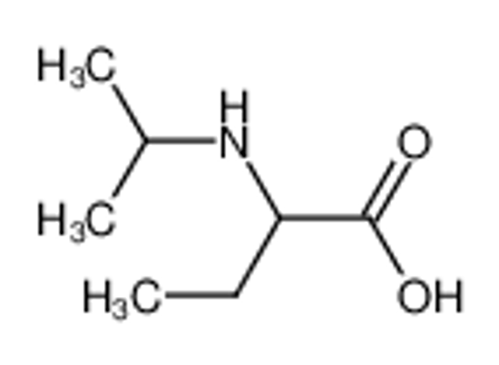 Picture of α-Isopropylamino-buttersaeure