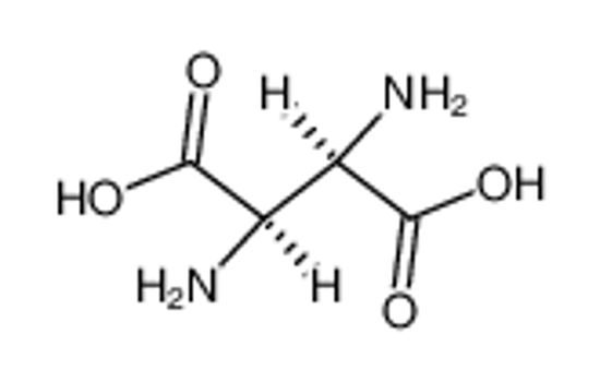 Picture of Ds-threo-2,3-diamino-succinic acid