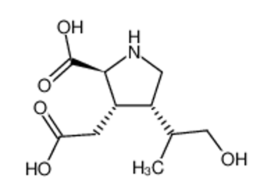 Изображение (+/-)-[(3Ξ)-2t-carboxy-4c-((Ξ)-β-hydroxy-isopropyl)-pyrrolidin-3r-yl]-acetic acid