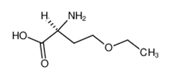 Picture of O-ethyl-L-homoserine
