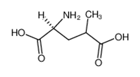 Picture of (2S)-4-methylglutamic acid