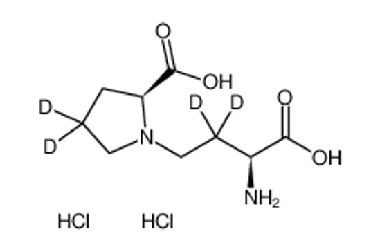 Picture of (S)-1-((S)-3-Amino-3-carboxypropyl-2,2-d2)pyrrolidine-2-carboxylic-4,4-d2 acid dihydrochloride