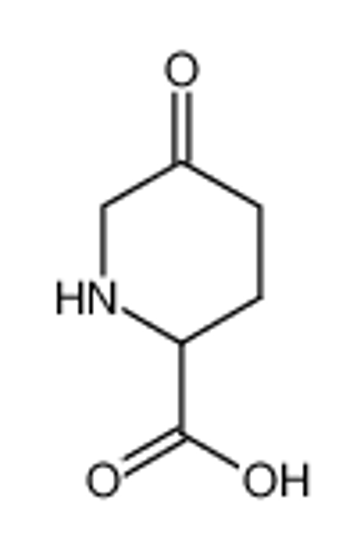Imagem de (±)-5-oxopiperidine-2-carboxylic acid