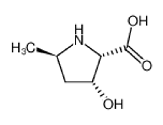 Picture of (2S,3R,5R)-3-hydroxy-5-methyl-2-pyrrolidinecarboxylic acid