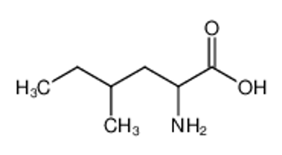 Picture of Homoisoleucine