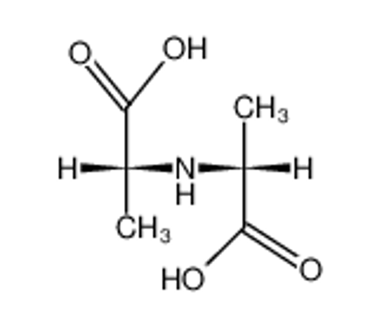 Picture of (2R,2'R)-2,2'-Iminobis(propionsaeure)