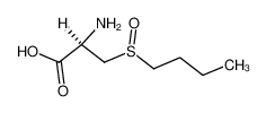 Imagem de (2R)-2-amino-3-butylsulfinyl-propionic acid