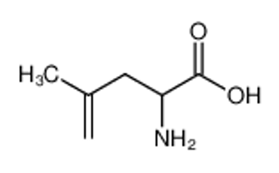 Picture of DL-γ,δ-didehydroleucine