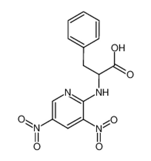 Picture of (+-)-<3,5-Dinitro-pyridyl-(2)>-phenylalanin