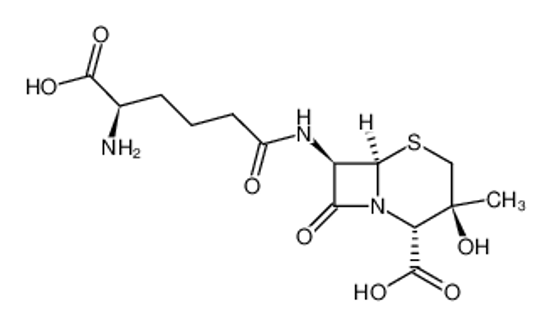Imagem de (2R,3S,6R,7R)-1-aza-3-methyl-3-hydroxy-7-<(5R)-5-amino-5-carboxypentanamido>-8-oxo-5-thiazbicyclo<4.2.0>octane-2-carboxylate