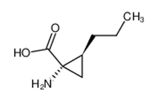 Изображение (1S,2S)-2-propyl-1-aminocyclopropane-1-carboxylic acid