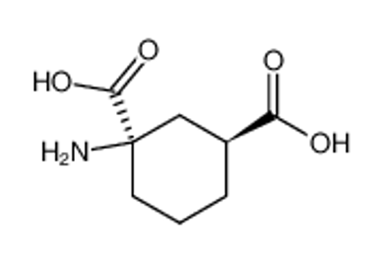 Изображение (1R,3S)-1-Amino-cyclohexane-1,3-dicarboxylic acid