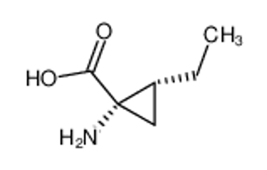 Picture of (+)-(1S,2R)-allocoronamic acid