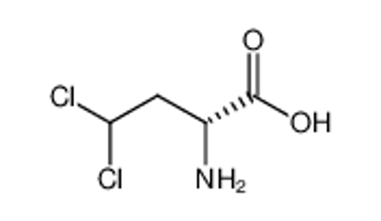 Picture of (R)-2-amino-4,4-dichlorobutanoic acid