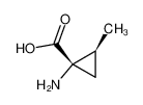 Изображение (+)-NCA