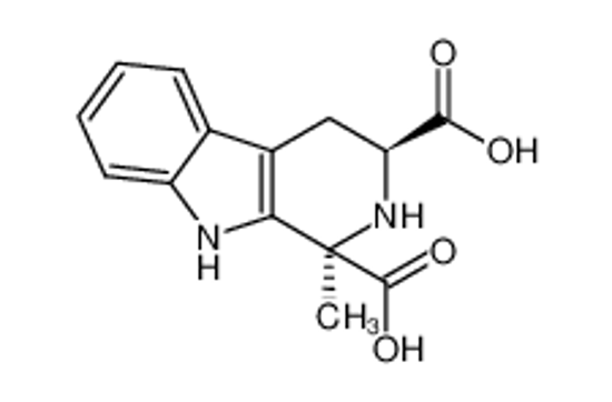 Imagem de (1R,3S)-1-methyl-1,2,3,4-tetrahydro-β-carboline-1,3-dicarboxylic acid