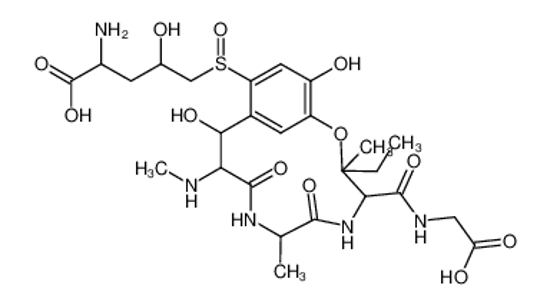 Picture of 2-amino-5-((4-((carboxymethyl)carbamoyl)-3-ethyl-16,11-dihydroxy-3,7-dimethyl-10-(methylamino)-6,9-dioxo-2-oxa-5,8-diaza-1(1,3)-benzenacycloundecaphane-14-yl)sulfinyl)-4-hydroxypentanoic acid