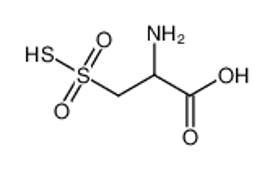 Picture of sulfothioalanine