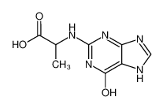 Picture of N2-((S)-1-carboxyethyl)-2'-deoxyguanine