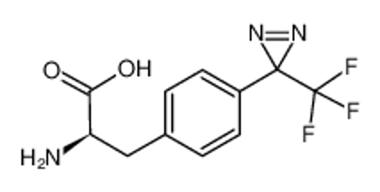 Picture of (R)-2-amino-3-(4-(3-(trifluoromethyl)-3H-diazirin-3-yl)phenyl)propanoic acid