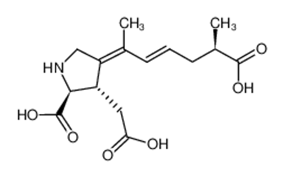 Picture of 5'R-isodomoic acid G