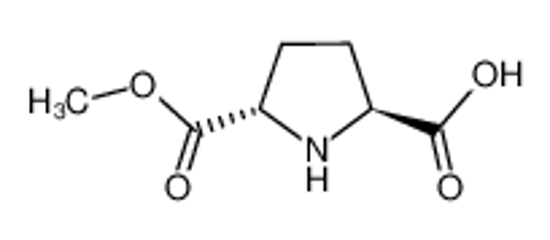 Picture of (2S,5S)-5-(methoxycarbonyl)pyrrolidine-2-carboxylic acid