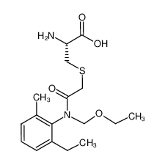 Picture of acetochlor-Cys