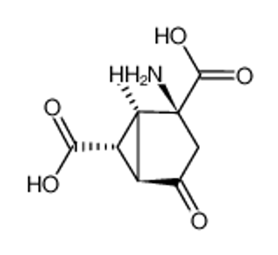 Picture of (1S,2S,5R,6R)-2-amino-4-oxobicyclo[3.1.0]hexane-2,6-dicarboxylic acid