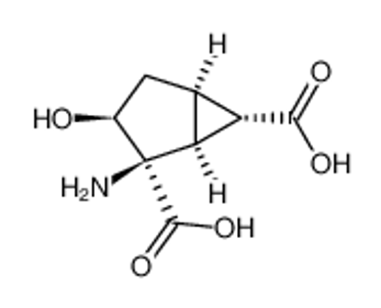 Picture of (1S,2R,3S,5R,6S)-2-Amino-3-hydroxy-bicyclo [3.1.0]hexane-2,6-dicarboxylic acid