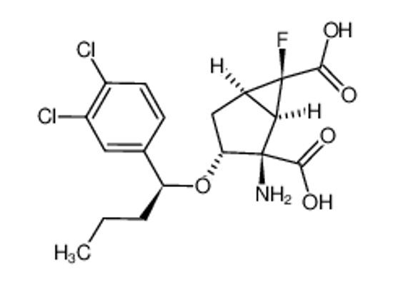 Picture of (1R,2R,3R,5R,6R)-2-amino-3-((S)-1-(3,4-dichlorophenyl)butoxy)-6-fluorobicyclo[3.1.0]hexane-2,6-dicarboxylic acid