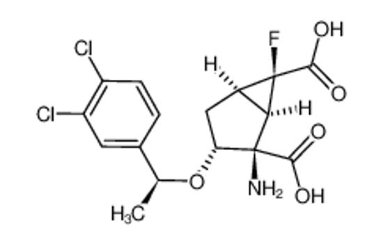 Picture of (1R,2R,3R,5R,6R)-2-amino-3-((S)-1-(3,4-dichlorophenyl)ethoxy)-6-fluorobicyclo[3.1.0]hexane-2,6-dicarboxylic acid