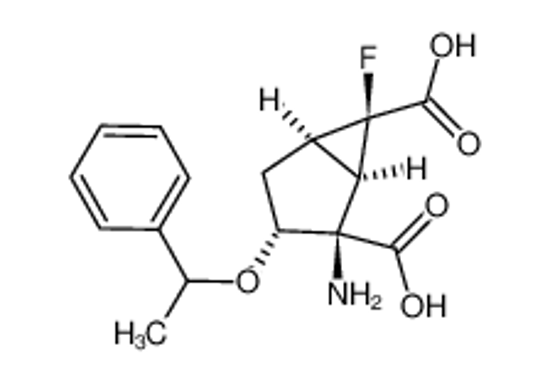 Picture of (1R,2R,3R,5R,6R)-2-amino-6-fluoro-3-(1-phenylethoxy)bicyclo[3.1.0]hexane-2,6-dicarboxylic acid