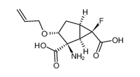 Picture of (1R,2R,3R,5R,6R)-2-Amino-3-(2-propenyloxy)-6-fluorobicyclo[3.1.0]hexane-2,6-dicarboxylic acid