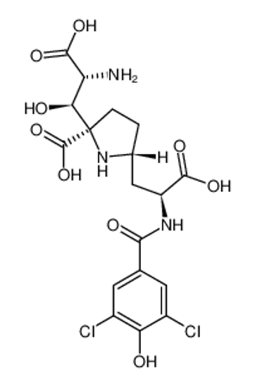 Picture of (-)-Kaitocephalin