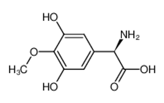 Imagem de (R)-(-)-(3,5-dihydroxy-4-methoxyphenyl)glycine