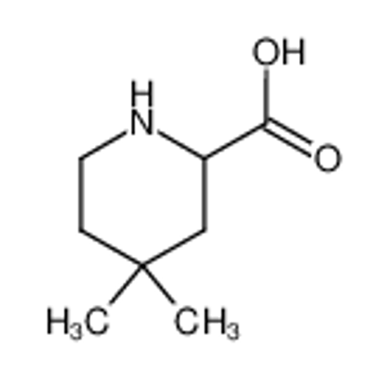 Picture of 4,4-dimethyl pipecolic acid