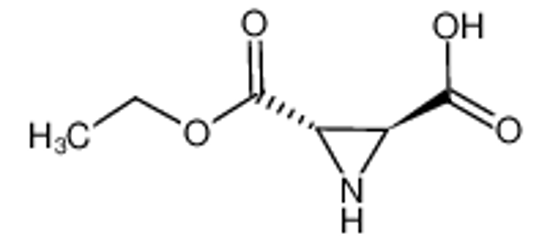 Изображение (2S,3S)-3-(ethoxycarbonyl)-2-aziridinecarboxylic acid