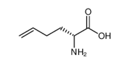 Imagem de (2R)-2-amino-5-hexenoic acid